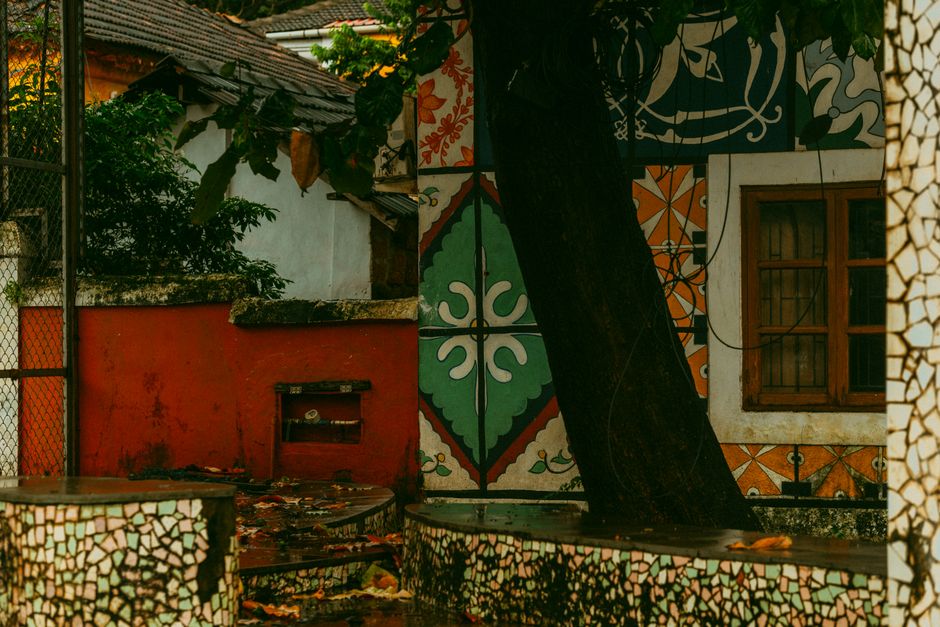 A painted exterior wall with a tree in front of it.