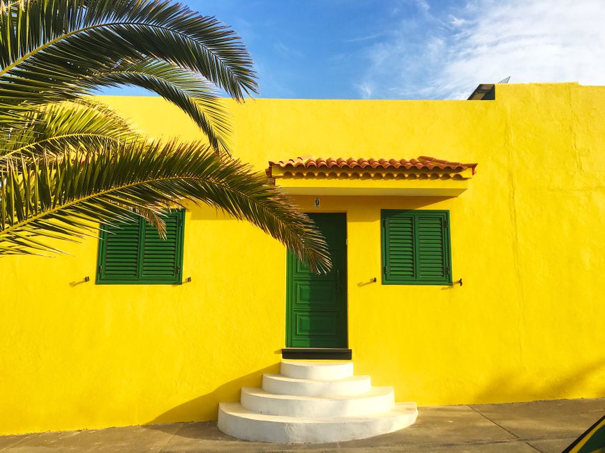 A yellow painted house front with green shutters and a palm tree.